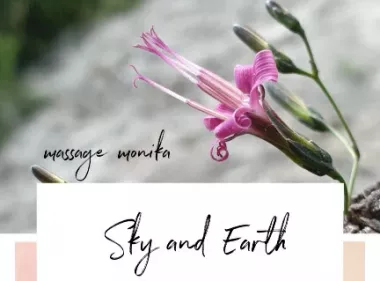 Head, neck and shoulder massage